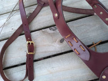 Load image into Gallery viewer, Shoulder Holster Heritage Rough Rider